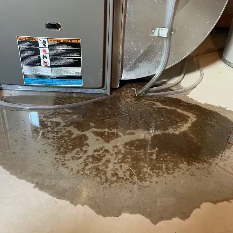 Appliance Leak Cleanup in Fillmore County, MN